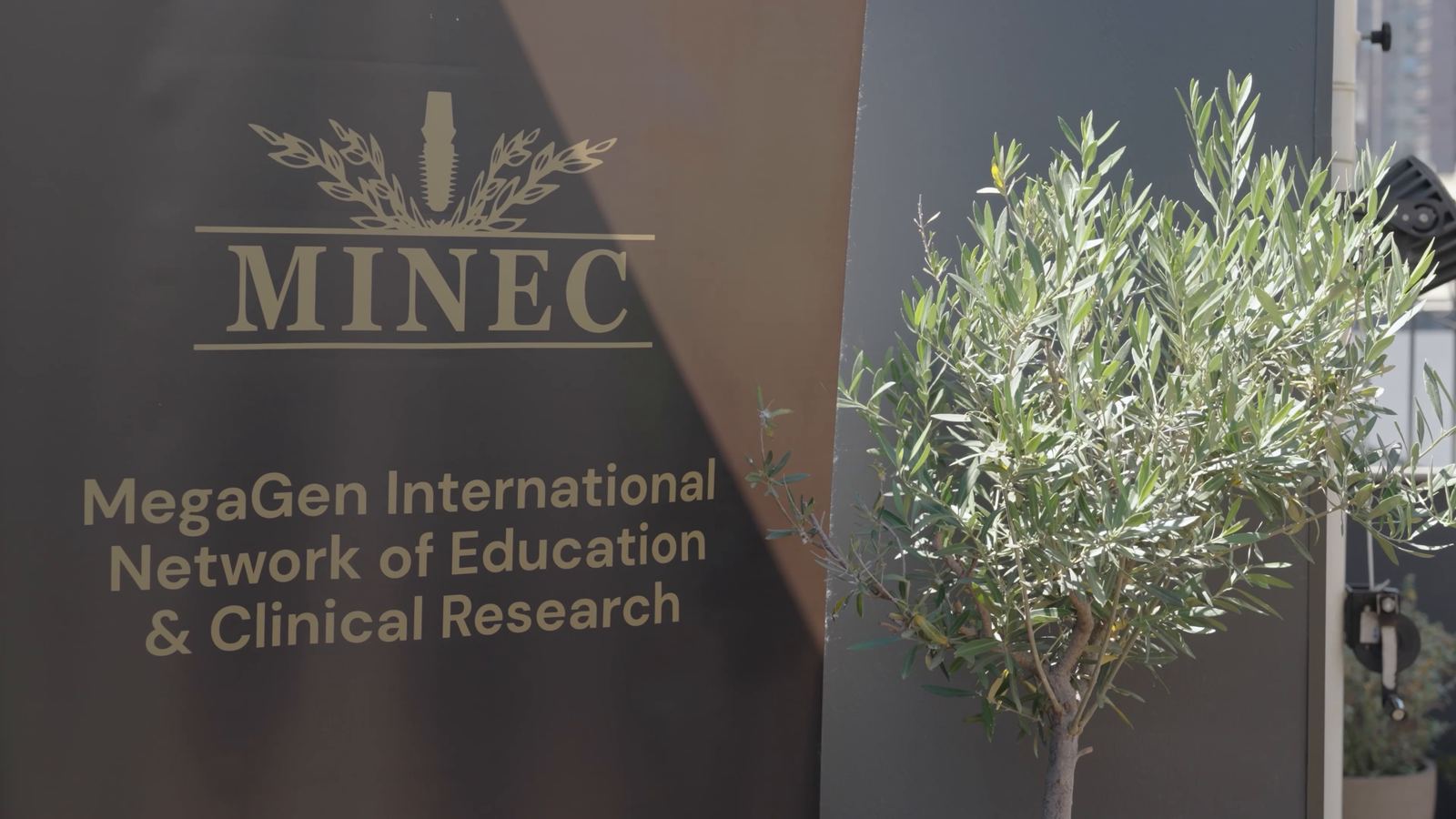 Il banner MINEC accanto a un ulivo nella sala di un corso